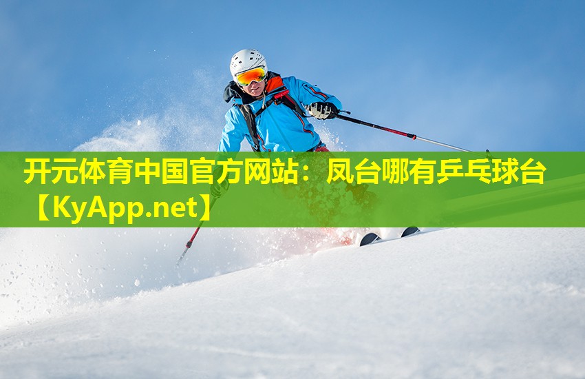 凤台哪有乒乓球台